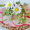 Radish on Crispbread